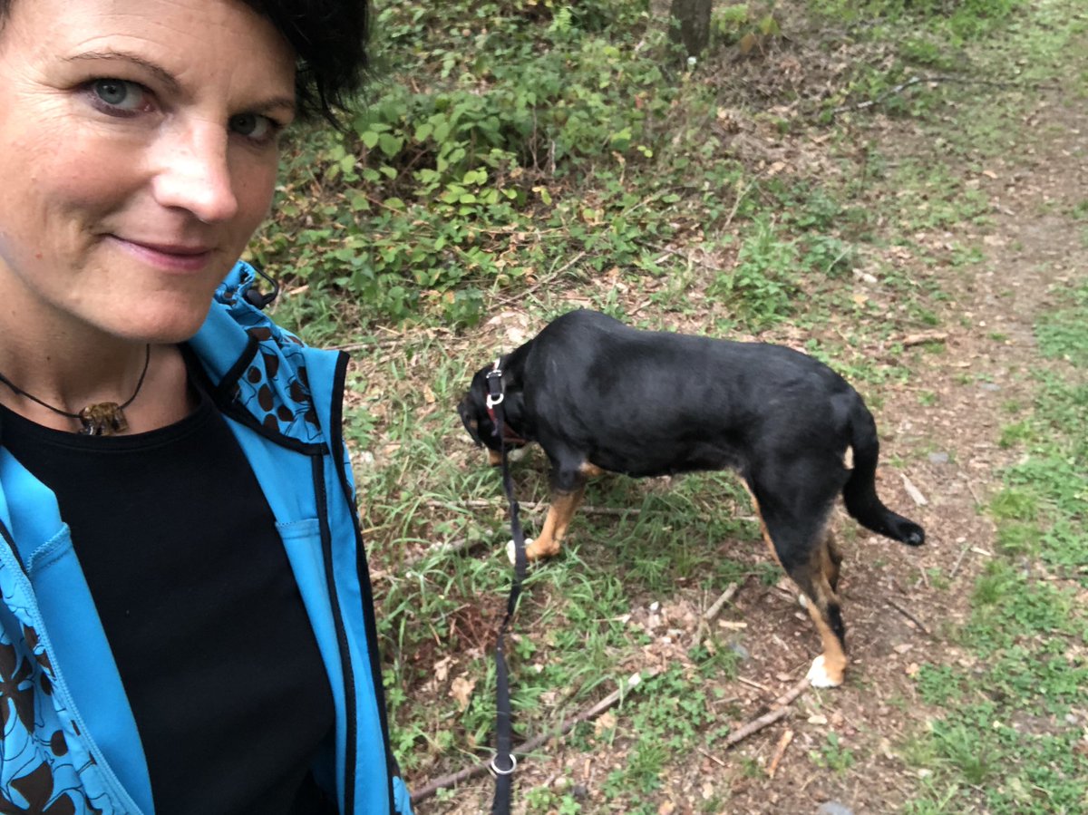 ChaosKreature's tweet photo. Endlich mal wieder Zeit für einen Spaziergang mit dem Familienhund in meiner „alten #Heimat“ #Seelenpflege #Ruhepol https://t.co/jHz2SeaLDP