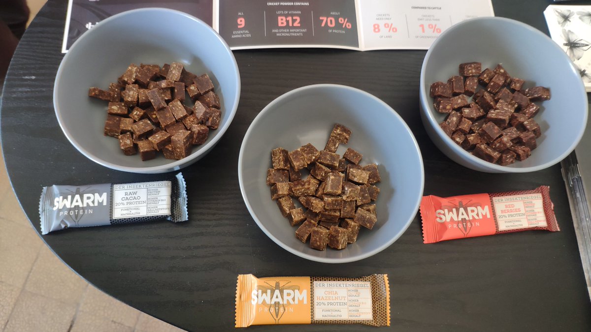 #INSECTA2019 conference in #Potsdam, #Germany (September 5 – 6, 2019). #edibleinsects #entomophagy #futurefood