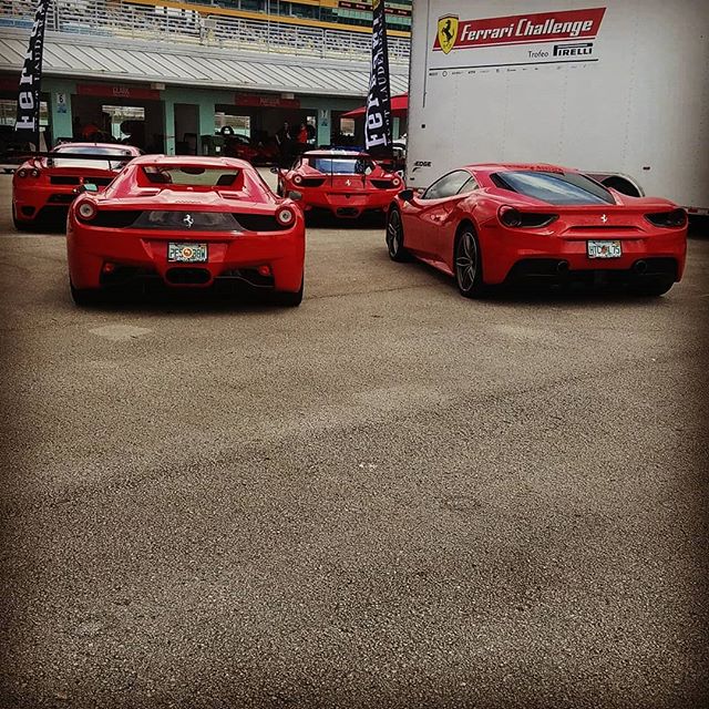 Current Situation @ferrarichallengena @passionerossaferrari #homesteadspeedway #carphotographybyjjgarcia
buff.ly/2ZK56Iv