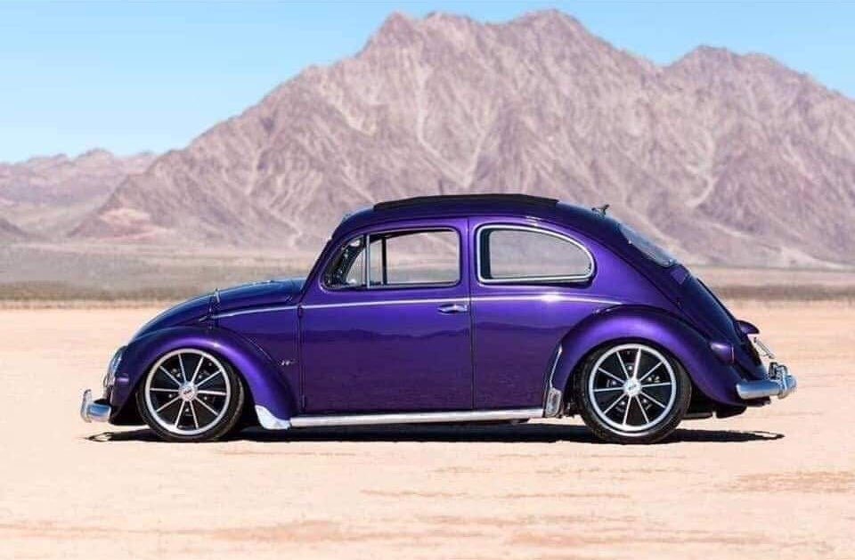 vocheando's tweet photo. Bugs 🇲🇽✌🏼
—————————————————————
#vocheando #photographer #photography 
#photoshoot #carshoot #carshow #vwmx #pasionvochera #vw https://t.co/ztnt3mV1mq