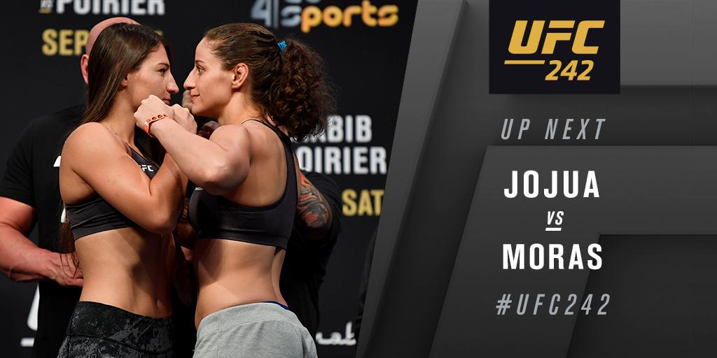 ufc's tweet photo. Next up!

🇬🇪 @LianaJojua takes on 🇨🇦 @SarahCheesecake next on FX! #UFC242 https://t.co/a9qnrexXMY