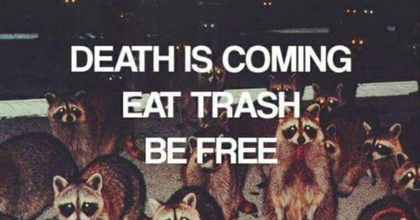 Death is coming. Eat trash. Be free.