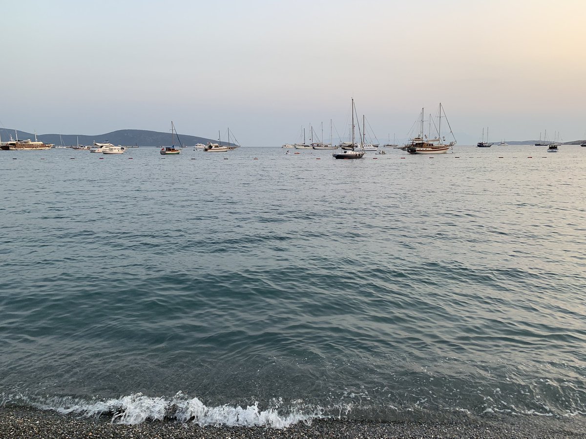 Bozo (@seyhmusbozo) on Twitter photo 