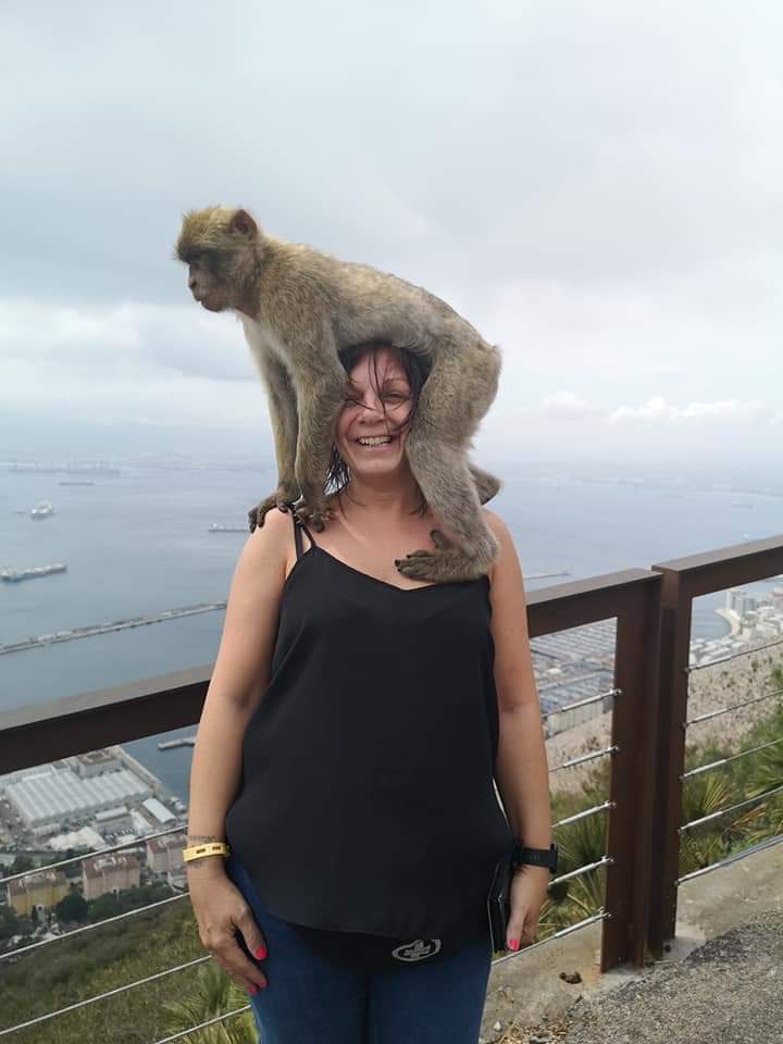 <a href="/OfficialMarkO/">Mark Owen</a> Stop Monkeying around and throw me your plectrum #Gibraltercalling #plectrum