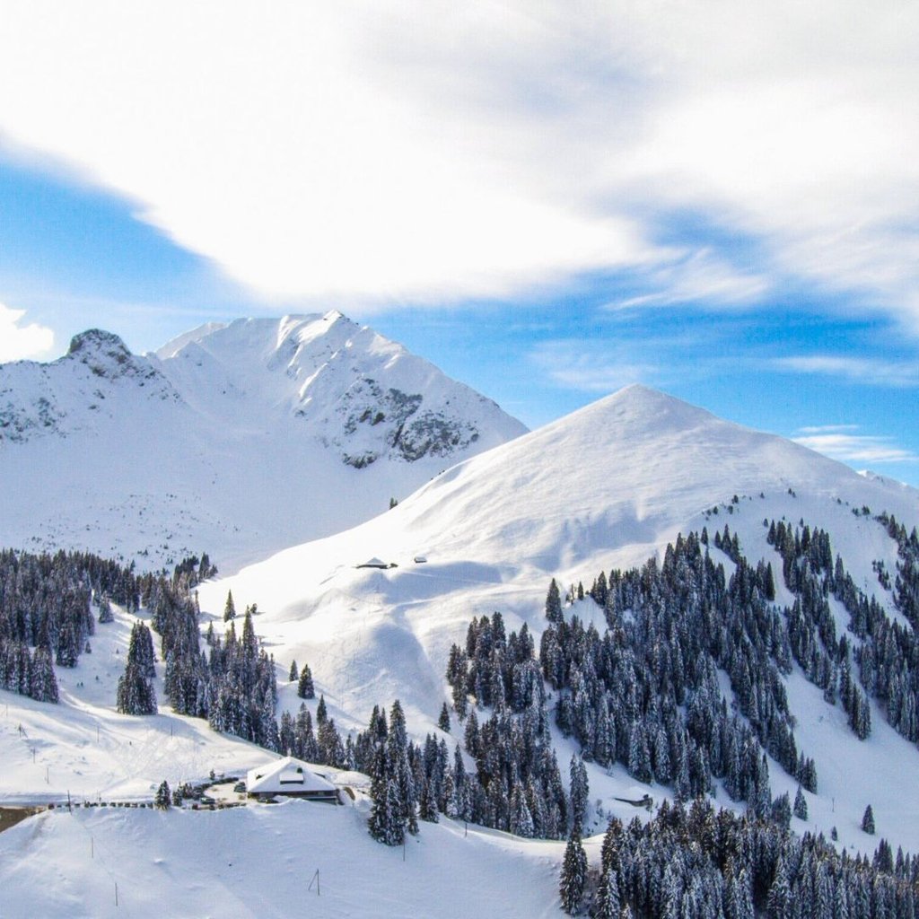 winternational1's tweet photo. It's really happening! Snow is falling in the Alps already.

It's going to be a very stylish winter. 

#goldbergh #winteriscoming #snowfall #endofsummer #skiwear #skistyle #lookgoodontheslopes #mountains #skitrip #skiholiday #luxurychalet #luxuryski https://t.co/zviDOfYgVj