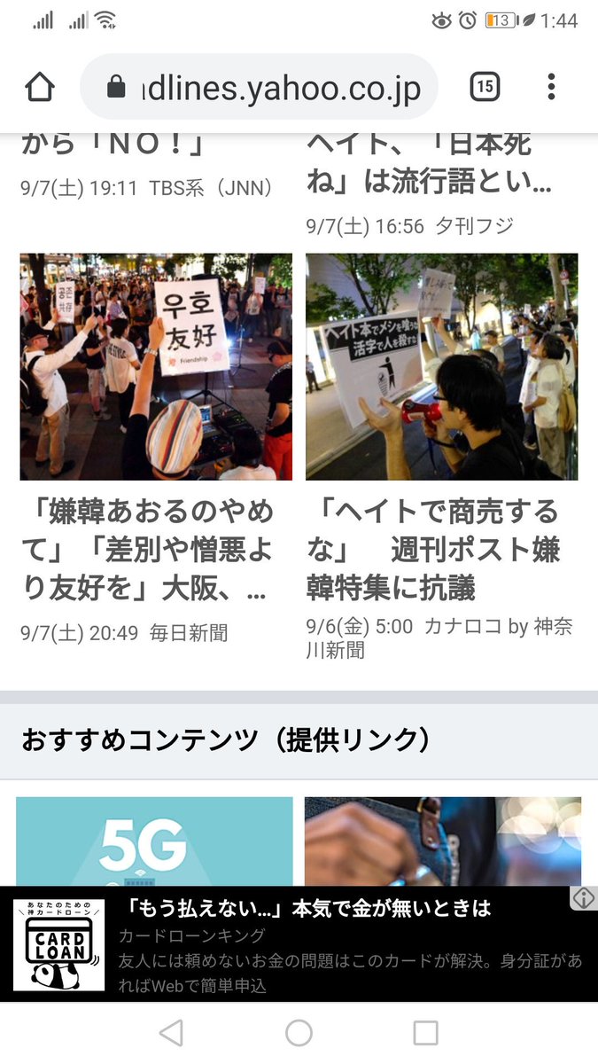 日本嫌い 日本嫌い