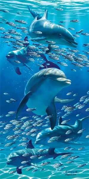 MyIperuranio's tweet photo. Nella storia dell’umanità (ma per gli animali vale lo stesso) chi ha imparato più efficientemente a collaborare e improvvisare ha prevalso..
Charles Darwin
#ImprovvisandoCon #CasaLettori https://t.co/Msc69qQZNX