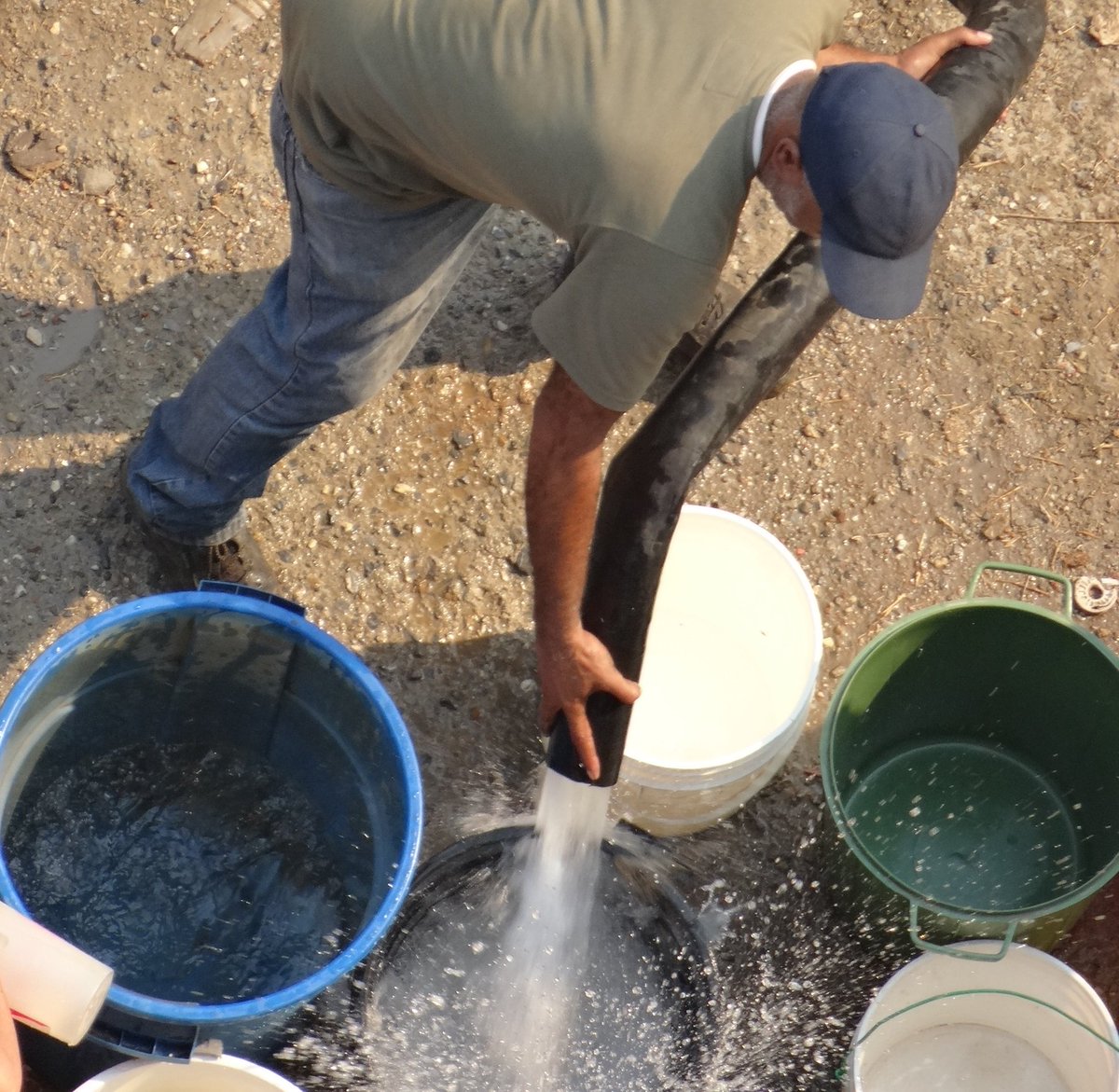 GuardianCatolic's tweet photo. #7Sep #Urgente La falta de agua en #Guarenas es grave, pero la incapacidad del alcalde #LuisFigueroa es peor 

Ya basta de someter a la gente con la #CajaClap #ComidaPodrida #CarnetdelaPatria, el Miserable  #BonoEspecialComplementario #SinLuz y #SinAgua 

https://t.co/7BVvgS8Fif https://t.co/9LahztRZYF