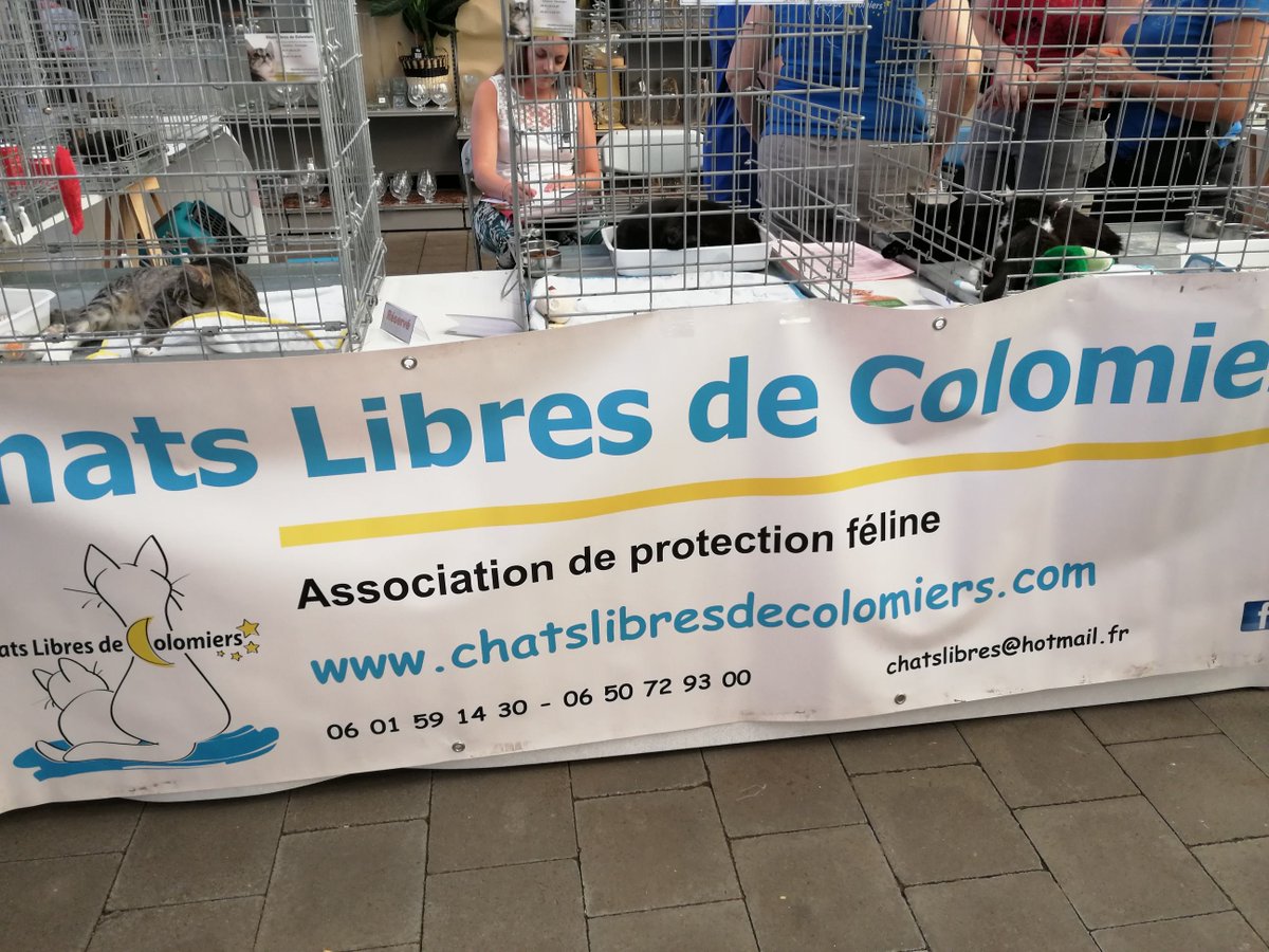 Damien_Laborde's tweet photo. 🐈On se mobilise pour l'adoption des chats ce week-end chez @truffaut Colomiers avec l"Association des Chats Libres de #Colomiers ! Bravo aux assos qui animent notre commune ! https://t.co/MqLRYrdTlN