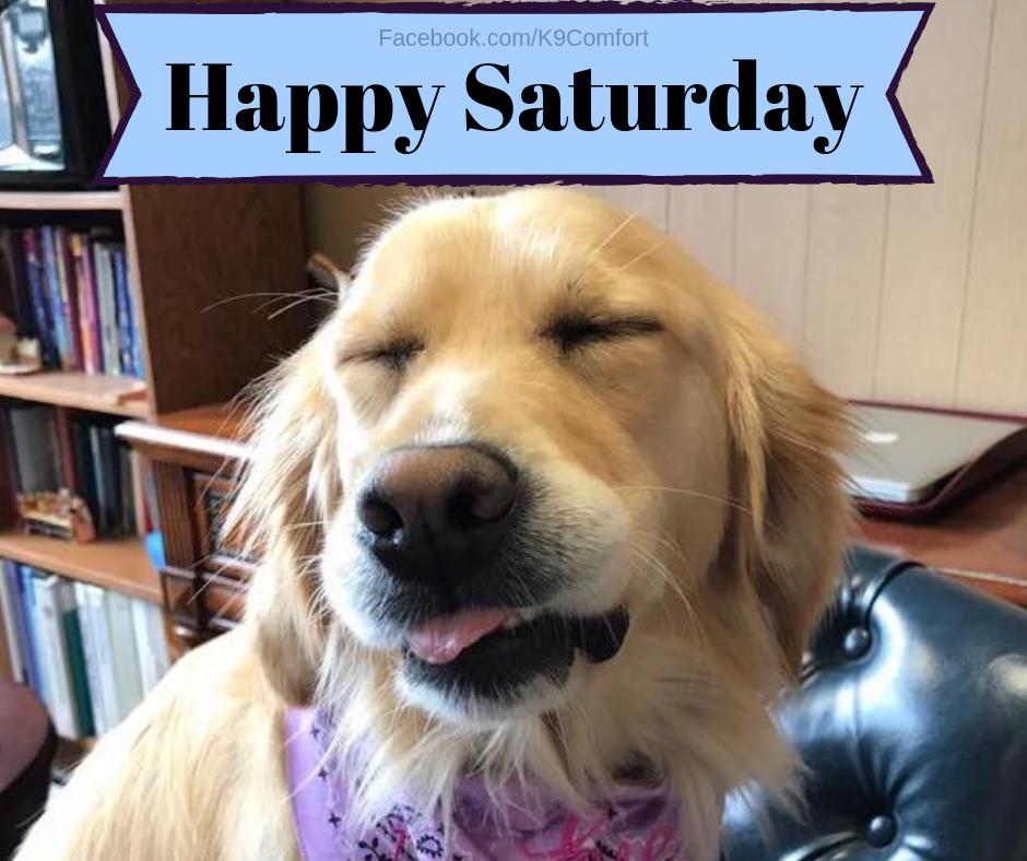 LCC K-9 Comfort Dogs on X: "happy saturday #SaturdayMorning  #SaturdayThoughts #SaturdayMotivation #comfortdogs https://t.co/z8qHxARAJM"  / X