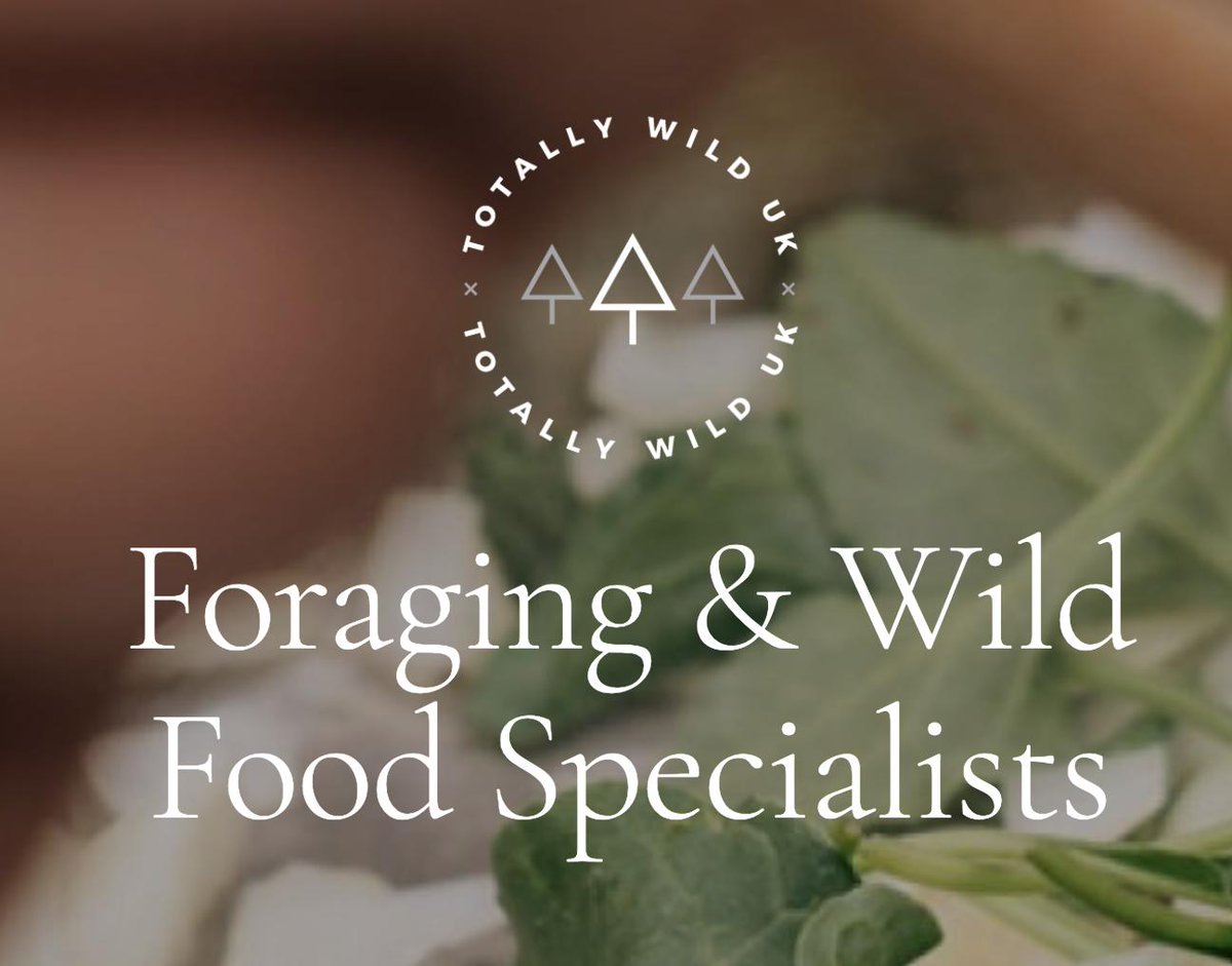 Join Hannah from <a href="/TotallyWildUK/">Totally Wild UK</a>  <a href="/ExmthMrktStPrty/">Exmouth Market Street Party</a> in Clerkenwell for FREE foraging walks and learn about the edible possibilities of the flowers, (so-called) weeds and trees all around us. Even in Spa Fields! Walks at 12.30 and 3.00pm tomorrow (Sunday)