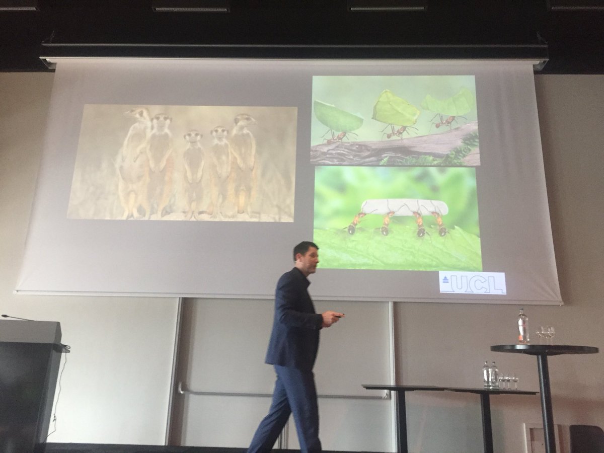 WALS_2019's tweet photo. @drzacharywalker giving a smashing keynote ending @WALS_2019 in a fantastic way👍🏽 Would you want to learn from you? https://t.co/1pEUcOgUMU