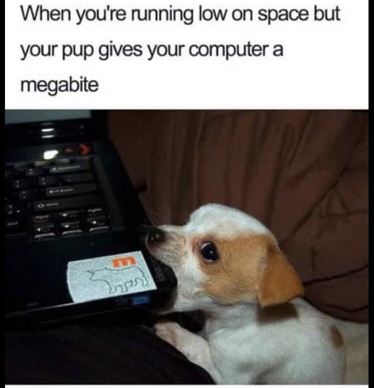 RespectfulMemes's tweet photo. https://t.co/spuWUqV3QP