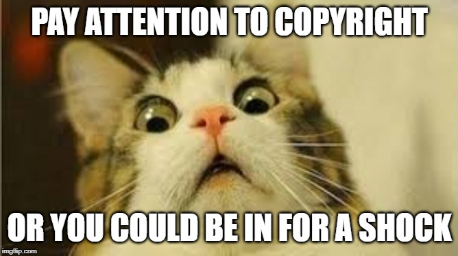 Memes are a great way to engage with audiences, but there are important steps to keep in mind when using them. Make sure you follow these helpful guidelines:  1l.ink/CNH2THT