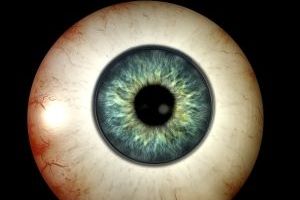 LEAFidentity's tweet photo. All LEAF Si Enabled products are now compatible with Iris Biometrics from IrisID! https://t.co/sAJTayJ9ss. To learn more about LEAF Identity please inquire on the LEAF website https://t.co/xEG9H5KXTr. There will be an informative lunch at #GSX Wed 9/11 https://t.co/cEDwJXvN7g https://t.co/wKCRP8hMOX