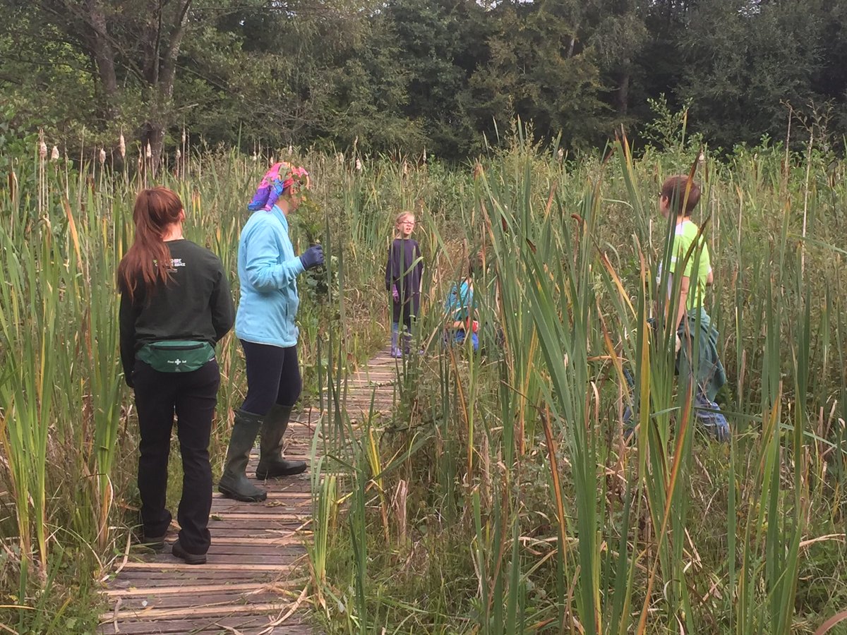 Don’t forget your wellies If you’re coming down tomorrow morning at 10am to help with the Zebon Copse work party as they’re going to working in the mire reed bed area of the copse <a href="/ZebonCopse/">ZCRA</a> @HantsCS