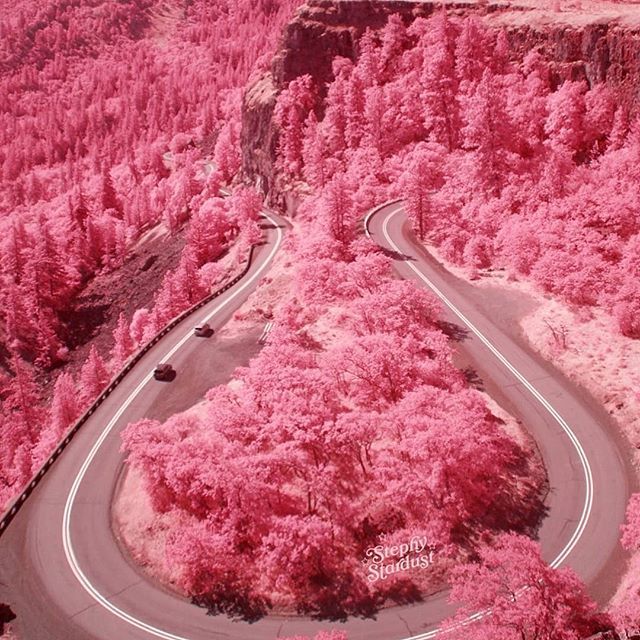 Just Posted New Infrared Art; ift.tt/2LxtBPh #CreativeIR #Infrared #Photography #InfraredPhotography