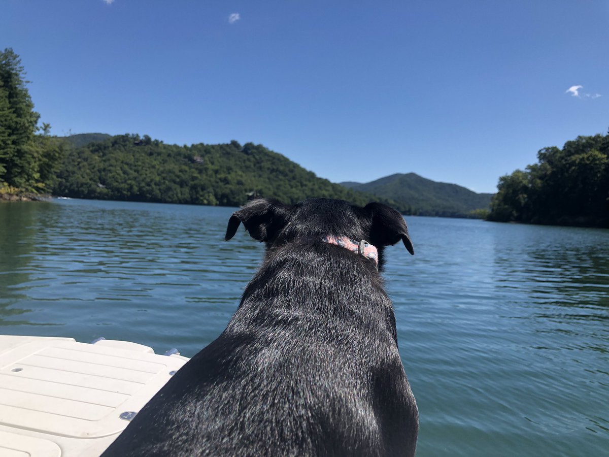 🍑<a href="/luvnewinfo/">LHouser🍊</a> 
<a href="/GeanineC/">Placeholder “G”</a> 
<a href="/mysterypatriot7/">🇺🇸Patriot4Ever🇺🇸</a> 
<a href="/myjourneymyself/">Just Me - Save America</a> 
<a href="/secretstranger9/">allan</a>
@45_KAG_2020 
<a href="/FairyQ15/">FairyQueen</a>
<a href="/libertylover64/">LA for Trump⭐️⭐️⭐️</a> 
<a href="/KvMidd85_/">Kevin</a>
@ReallyKW 
<a href="/Derameth/">Dee 💯 🇺🇸 ☠️</a> 
<a href="/daahmom/">🇺🇸daahmom🇺🇸⭐️⭐️⭐️</a> 
<a href="/KAG1776MAGA/">👑 King Ragnar ™ ▄︻̷̿┻̿═━一</a>
<a href="/krunalley3/">Rosie</a> 
@kaci150 
<a href="/TonyLadd9/">Tony Ladd</a> 
@markkirin_ 
<a href="/BMcAdory9/">Brandon McAdory🇺🇸 (Text TRUMP to 88022)🇺🇸</a> 
@Toddscrypto 
@TrkWilson
<a href="/Texaswild7/">Deplorable D</a>