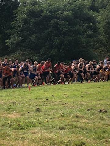 Daniel Bertoni tweet media