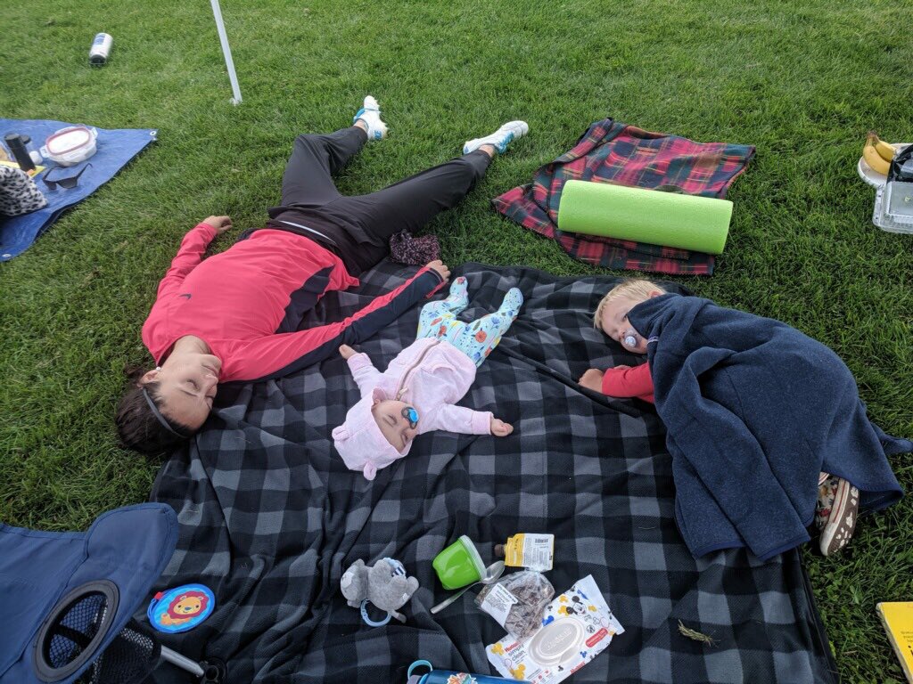 More actual footage of Dino bye with guest <a href="/camurphy3/">Caitlin A. Murphy</a>