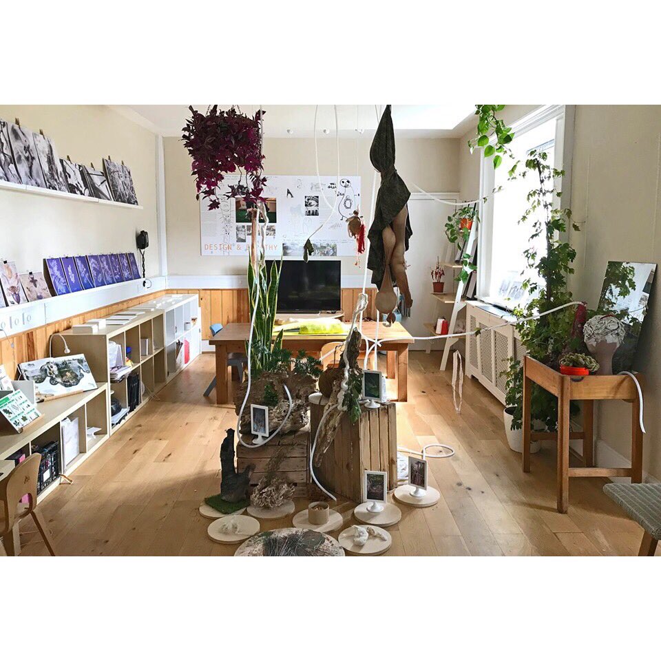 reflections54's tweet photo. Our first week back for Reflections Small School has begun with some provocations and forest &amp; beach experiences. So excited to see what the rest of the year will bring. #reflectionssmallschool #forestschool #beachschool #projectledlearning #reggioinspired https://t.co/I3ffbigT6Y