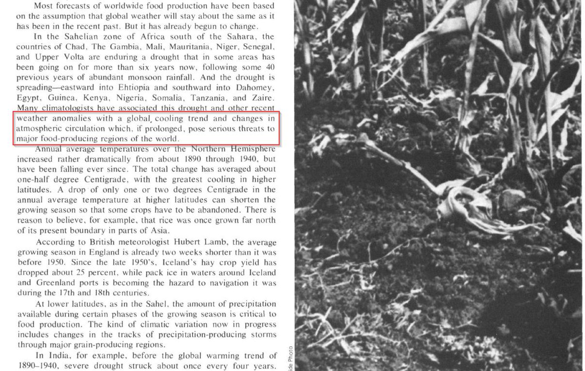 What about the The National Oceanic and Atmospheric Administration (NOAA)? Surely that agency, which is part of the U.S. Department of Commerce, wasn't on the global cooling bandwagon too? Well...yes. Yes it was.