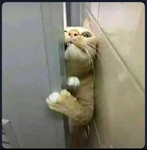 skiraj's tweet photo. Trying to enter a girl's heart❤❤ without giving her money💸💸
@officialnairam1
#PUTAA https://t.co/RH3hmtxPdp