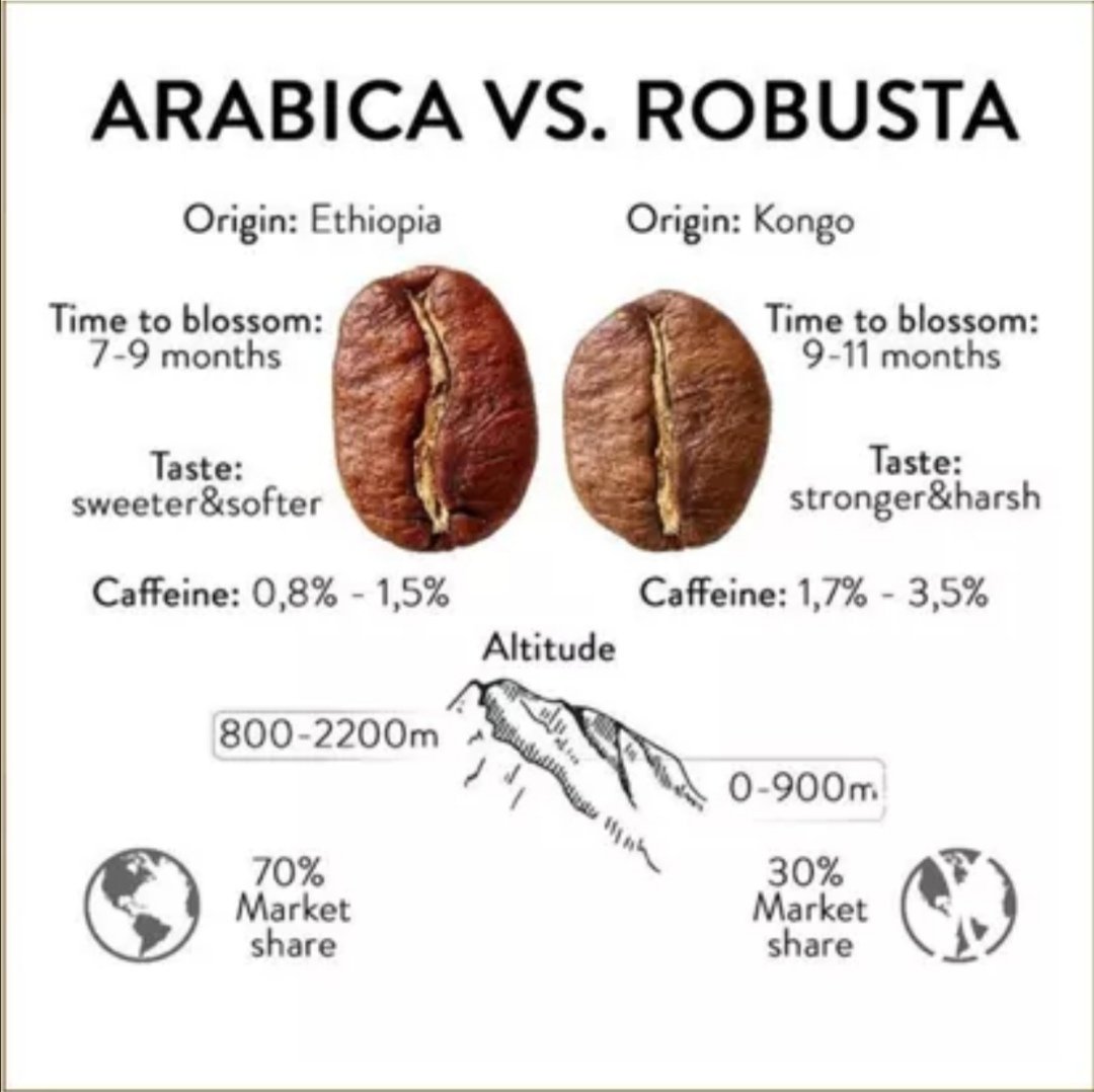 La diferencia entre los tipos de café Arábica y Robusta