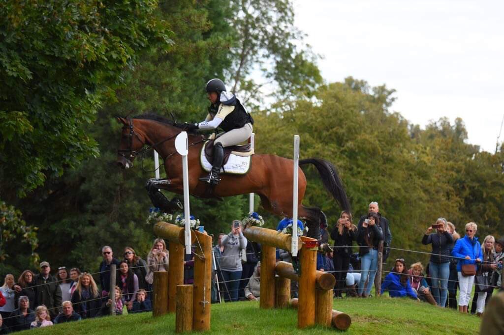 e_Venting's tweet image. Pippa has lost her hat silk at #LRBHT19, if you have got it, please come forward, she's had it for 30 years and it means a lot to her!