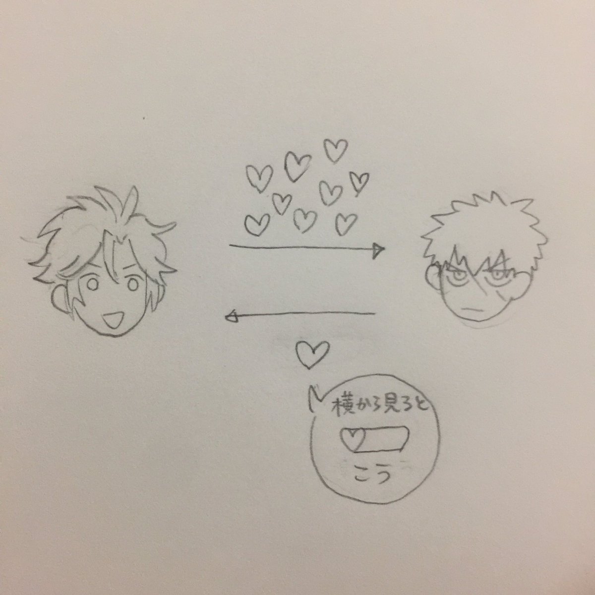 うちのおてたぬちゃんのイメージ 