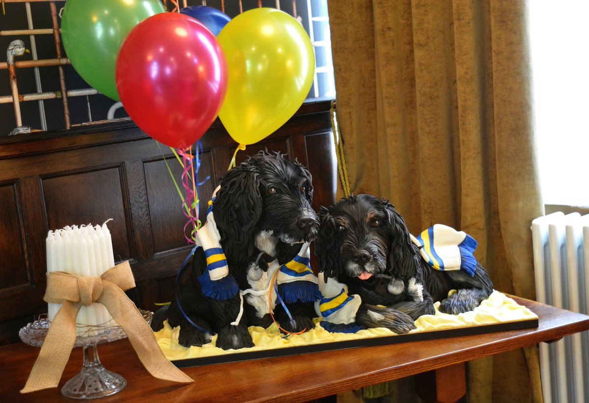 GajraKay's tweet photo. Had the honour today of making these 2 for an amazing lady for her husbands suprise 50th birthday party . His 3 passions the local bar , there 2 doggys and leeds .... winning #dogs #dogcake #leeds #cakeartist #cake #pets #football #leedsunitedfootballclub #lambandflagleed https://t.co/r2AbmsicvU