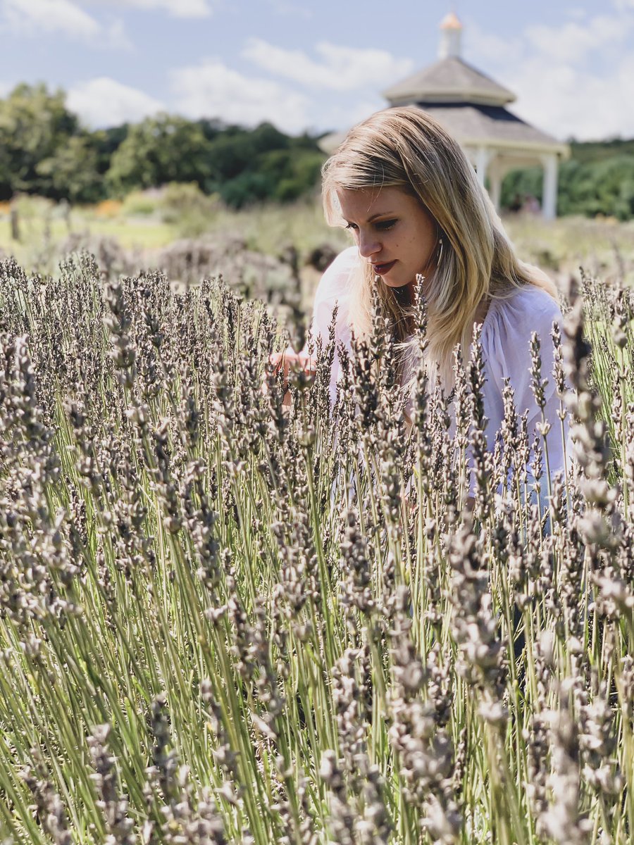 MorganEmHines's tweet image. Saturday at Lavender Pond Farm in Killingworth, CT #ExploreCT