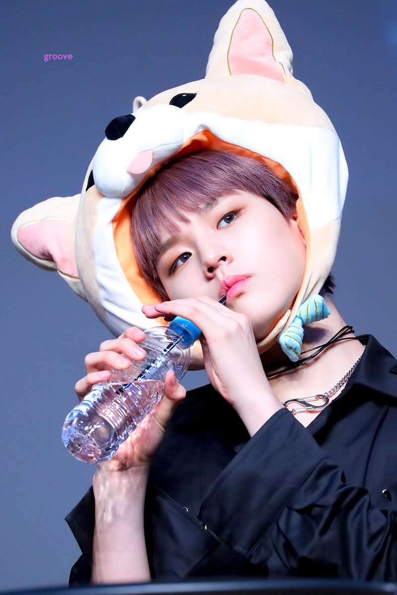 𝙜𝙧𝙤𝙤𝙫𝙚 tweet media