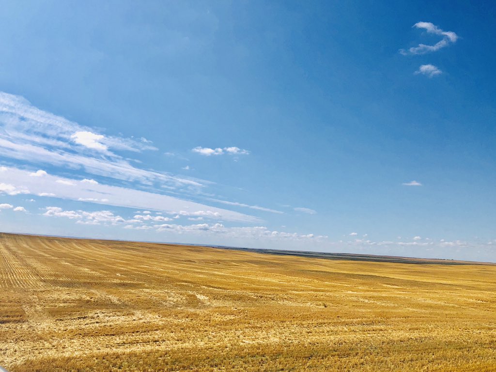 sasha_regier's tweet photo. Our roots make us who we are 🌾✨
#landofthelivingskies #prairies #roots https://t.co/QR2Fvm813u