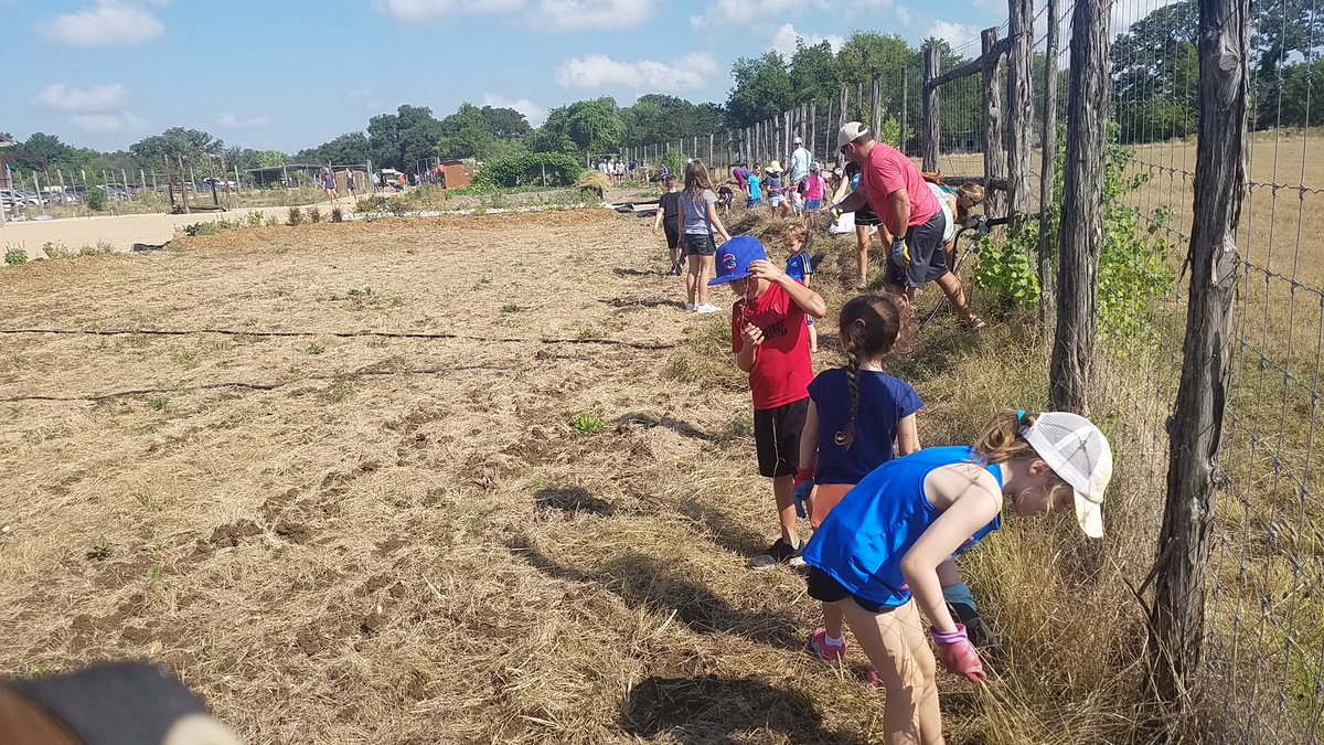 FairOaksRanchES's tweet photo. So much fun at our first @FairOaksRanchES #FORESGivesBack event of the year @CiboloNatureCtr this morning! Kids and parents all got in on the action! #gardencleanup #wheelbarrowfun #smellslikesweatandvinegarspray https://t.co/ddz2hlWZ25
