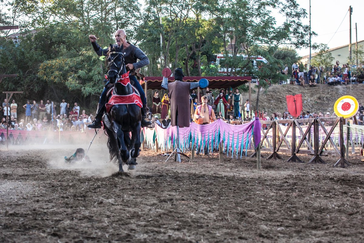 terratrobadors's tweet photo. Espectaculars imatges del Gran Torneig Medieval de @terratrobadors Encara sou a temps de veure aquest gran espectacle amb el segon passi de diumenge a les 18.00H. No us ho perdeu ➡️ https://t.co/7r2NoGrSRL https://t.co/kLdrqtolga