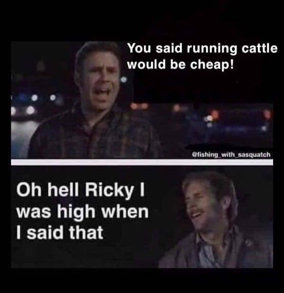 Kyle Stephens (@kylestephens50) on Twitter photo 