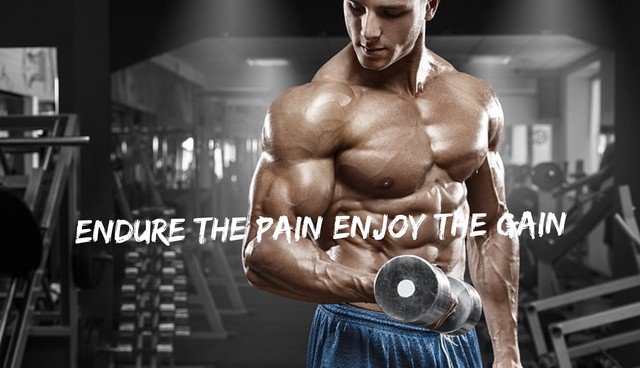 Alphapck1's tweet photo. Endure The Pain Enjoy The Gain
#fitness #gainz #pain #Workout #endure #work #motivation #NoExcuses #beast https://t.co/nvvA1NGZOB