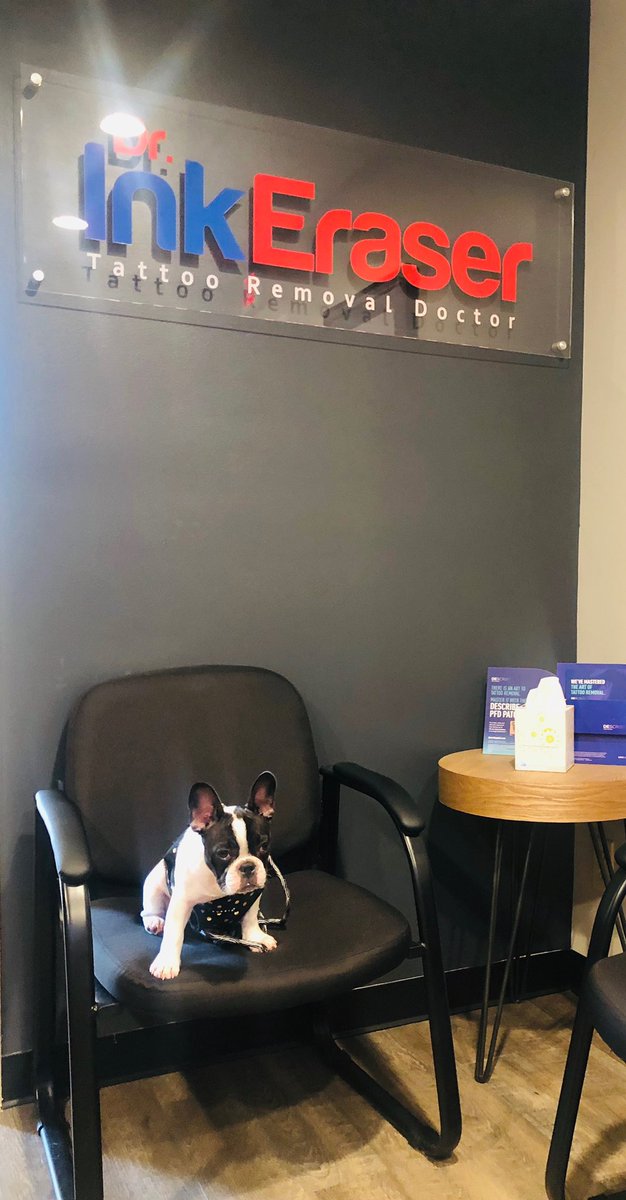 tattooremovalga's tweet photo. Visitor in office today! 🐶 https://t.co/WPI4RT9D3b