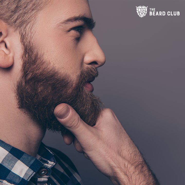 thebeardclub's tweet photo. When did your beard journey begin? What's some advice you can share to newcomers?
#beards #beardtips #beardadvice https://t.co/9EE4jd63AV