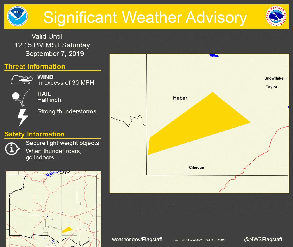 Significant Weather Advisory for Navajo County until 1215 PM MST. azwx