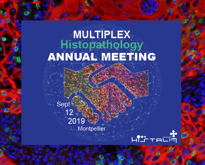 Please join us at <a href="/HISTALIM/">HISTALIM</a> -Multiplex Histopathology Annual Meeting- in Montpellier Sept.12, 2019. Dr. Florian Leiss &amp; Dr. Ana Hidalgo-Sastre will discuss multiplex digital imaging and patient #immuneprofiling! #immunotherapy bit.ly/30T8LAg
