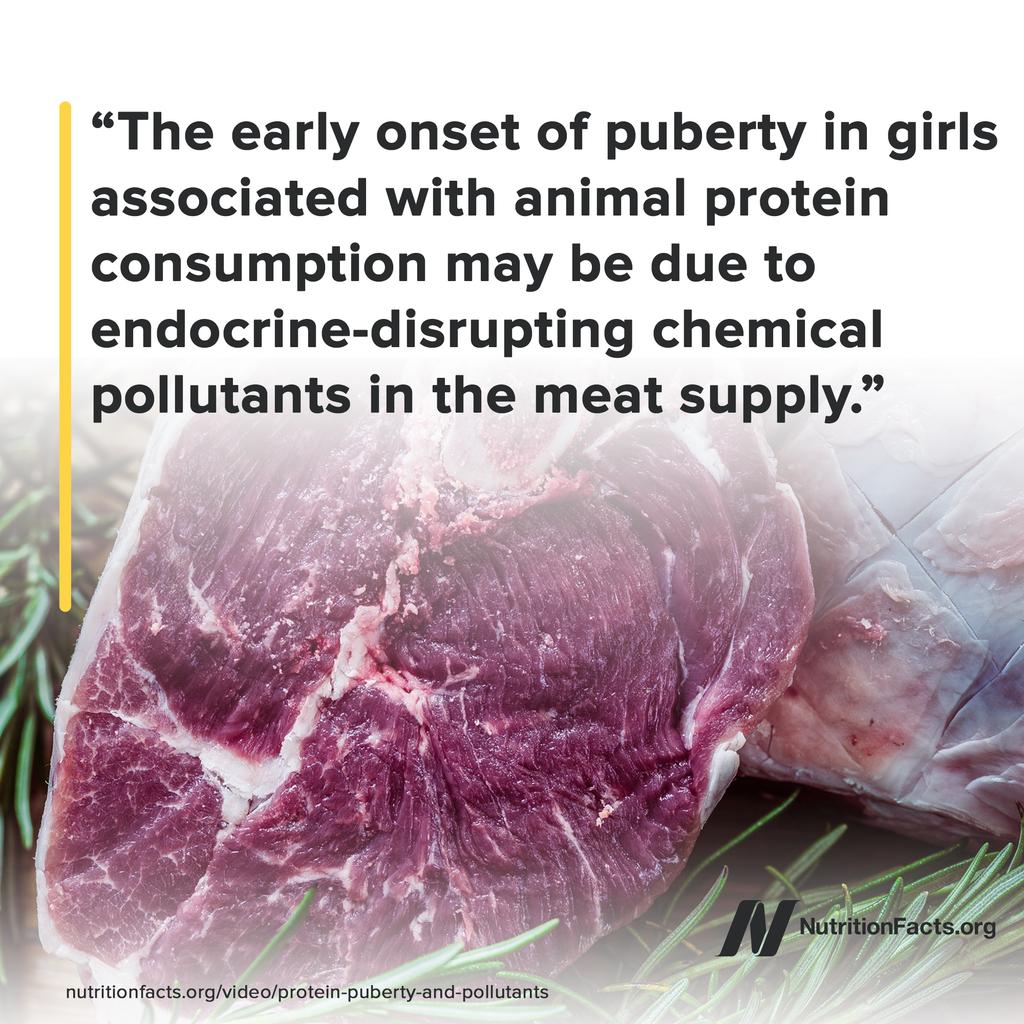 nutrition_facts's tweet photo. Animal protein intake is associated with early-onset puberty, whereas plant protein has the opposite effect. Watch the video "Protein, Puberty, &amp; Pollutants" on https://t.co/ZgE3qD1kYd to learn more: https://t.co/vbFbA7JyGG https://t.co/v7pCIGka0b