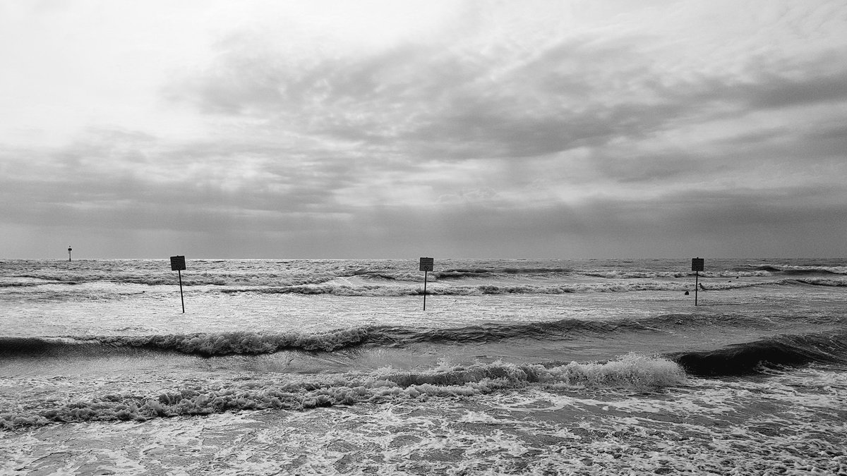 IkaKarl's tweet photo. #SevenDaysPhotoChallenge

Nominated by @sonotama1

- seven days
- B&amp;W photos of your life
- no humans, no explanations
- Day 370
- i'd like to nominate @sonotama1
 
#sevendaysBW https://t.co/O3u3rNSyOz
