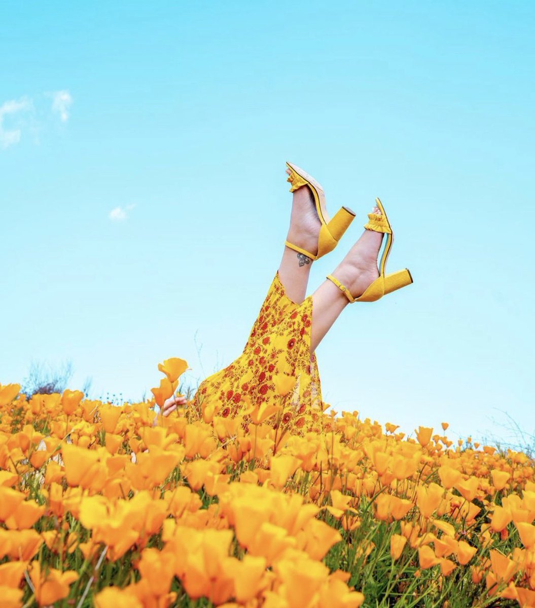 wearehappyplace's tweet photo. Kicking our heels up to soak up the last few moments of summer. 🌼☀️ #CaptureYourHappy
📷: lateafternoon https://t.co/ASDllB9UQx