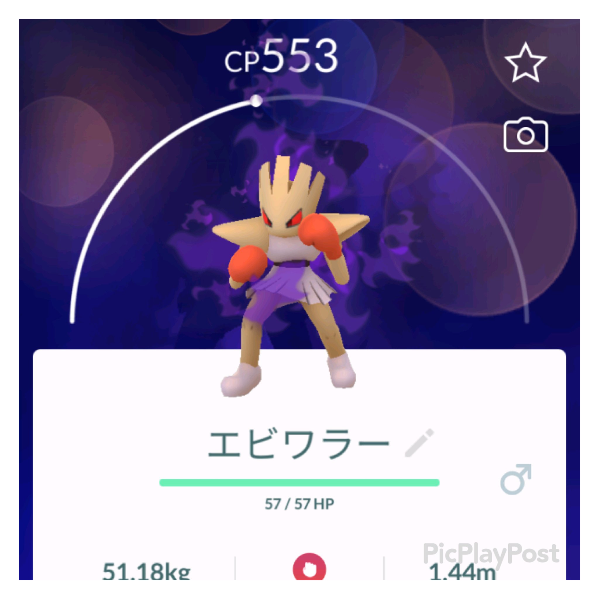 シャドウエビワラー Twitter Search Twitter