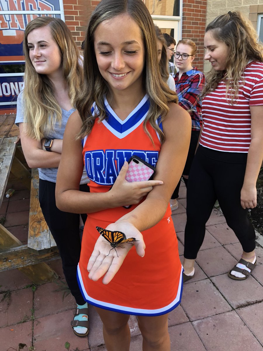oohslibrary's tweet photo. Released a monarch butterfly on the library garden patio yesterday with @Jess_Tims and her AP environment class! Her face says it all. #librarylife https://t.co/Mfd1iIt13p