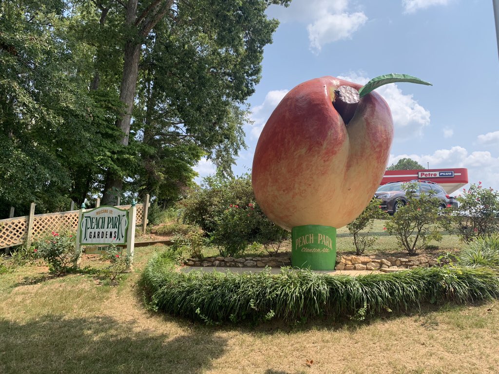BackroadsStaff's tweet photo. Mark had the opportunity to check a bucket list item off our list today when he visited the Peach Park in Clanton, Alabama! Started in 1984 as a roadside fruit stand, today the park is spread over 7 acres and includes something for everyone! @peachpark205
#peachpark #clantonal https://t.co/R9WAabGcCC