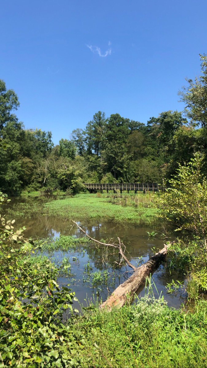 RGreenwayApp's tweet photo. Neuse views 💚 @raleighparks @visitRaleigh @WakeGovParks #NeuseRiverTrail #RaleighGreenway
https://t.co/ZJFJ4lGtCD https://t.co/sfQ4wKzhHL