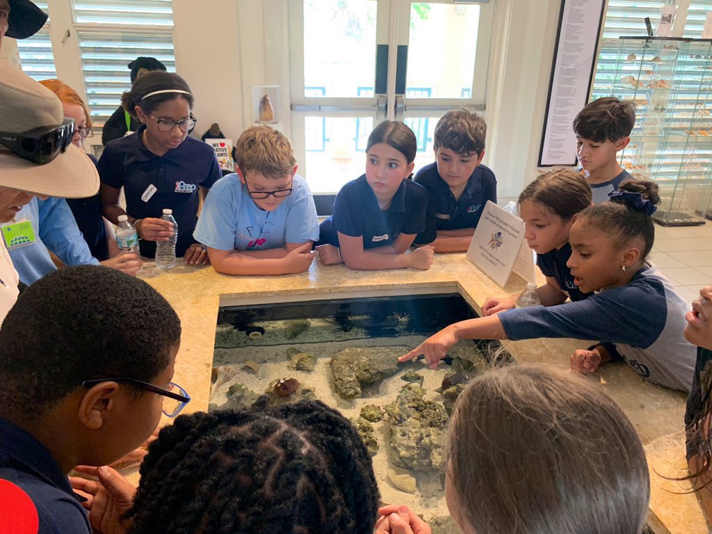 MsAllisonStone's tweet photo. We loved visiting the BNCEE 🦀🐠 Thank you for the real world hands on experiences you provide for our kids! #iteachfifth #iprepacademy #fieldtrip #biscaynenaturecenter https://t.co/musWuGOBL7